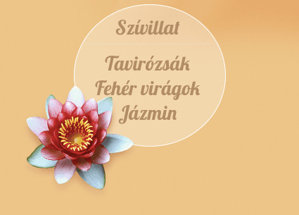 lenor illatgy&ouml;ngy&ouml;k