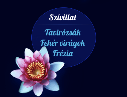 lenor illatgy&ouml;ngy&ouml;k